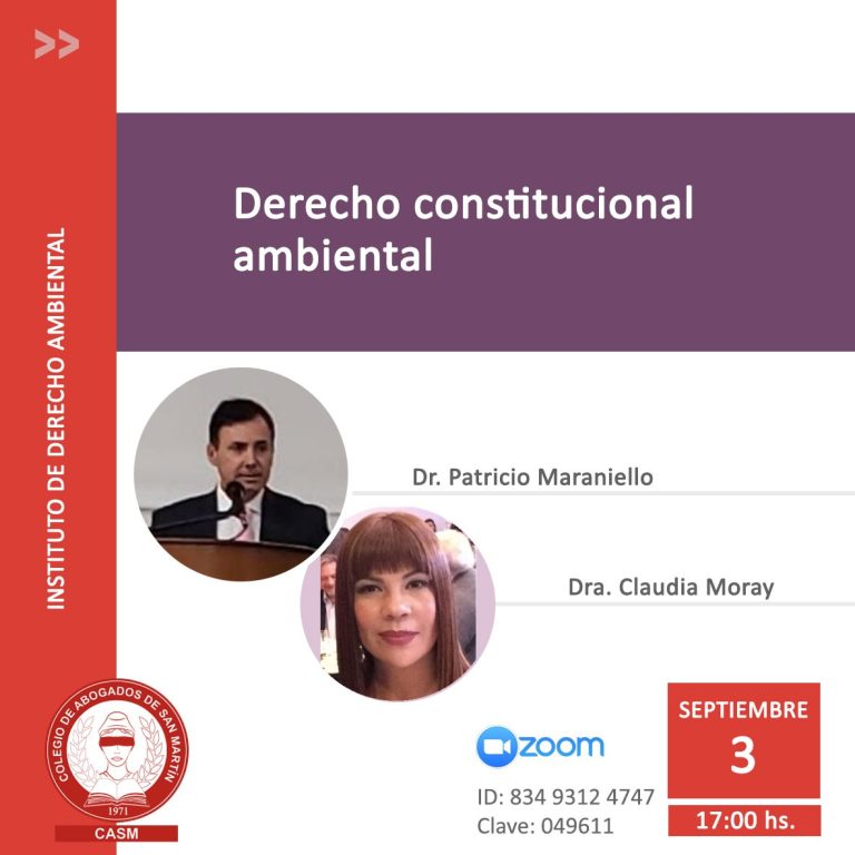Zoom: DERECHO CONSTITUCIONAL AMBIENTAL