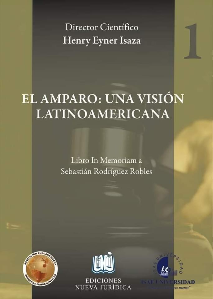 EL AMPARO: UNA VISIÓN LATINOAMERICANA – «EL AMPARO EN LA ARGENTINA. EVOLUCIÓN, RASGOS Y CARACTERISTICAS ESPECIALES» por el DR. PATRICIO MARANIELLO